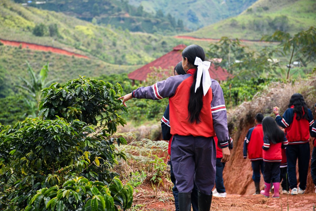 Finca cafetera de Nuestra Institución