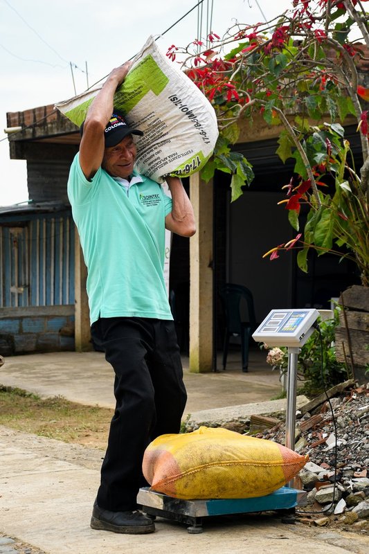 Fuerza que impulsa el cambio