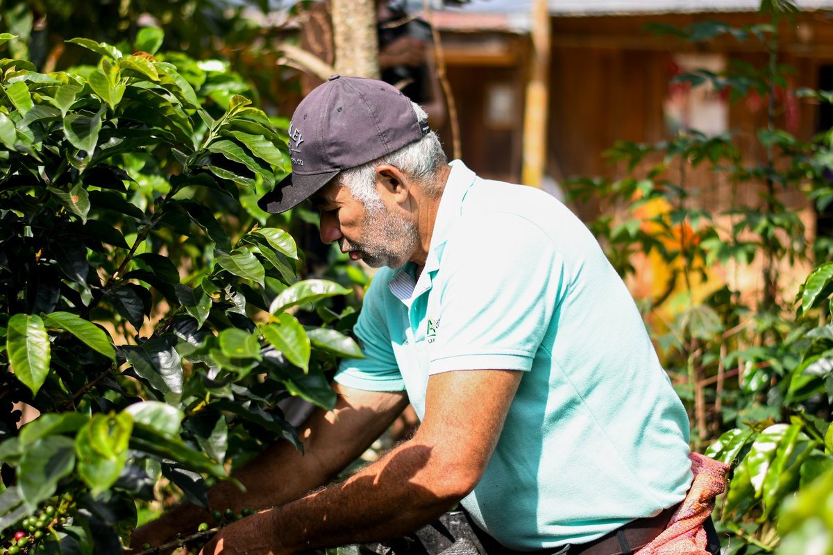 Manos que labran dignidad