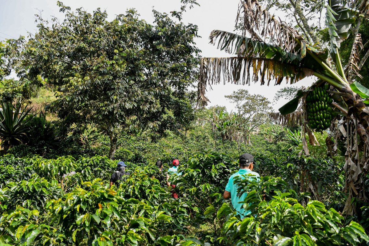 Nuestro horizonte de esperanza